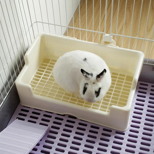 Cajas De Arena Para Conejos, Inodoro Rectangular Para L