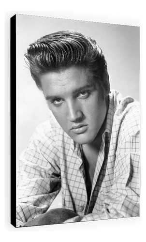 Cuadro De Elvis Presley De 33x48 Cm - Muchos Modelos 