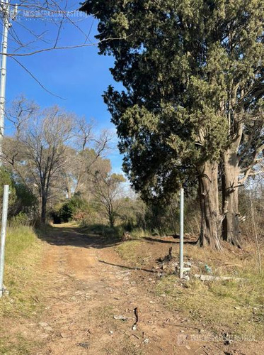Campo - Villa Rosa