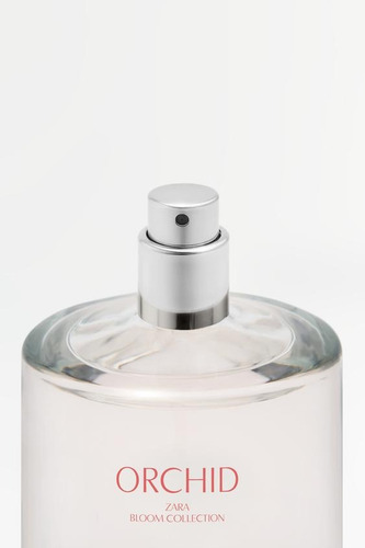 Perfume Zara Orchid