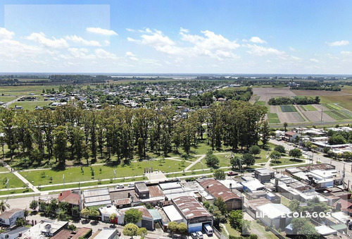 Imagen 23 de 30 de Ecolagos Este - 312m2
