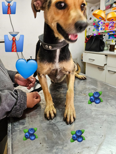 Minguito, Chico De Tamaño, 3 Añitos, Pura Alegría Y Amor. !!