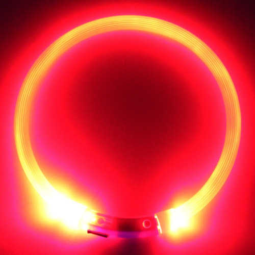 Collar Para Pasear Perros Con Luz Led Recargable Con Usb