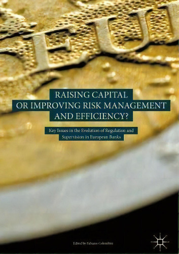 Raising Capital Or Improving Risk Management And Efficiency? : Key Issues In The Evolution Of Reg..., De Fabiano Colombini. Editorial Springer International Publishing Ag, Tapa Dura En Inglés