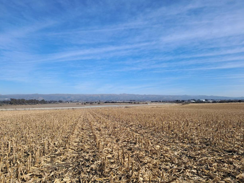 5 Ha - Campo Ideal Loteo A 5 De Alta Gracia