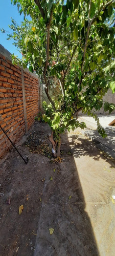 Imagen 4 de 16 de Casa Remodelada, Excelente Oportunidad