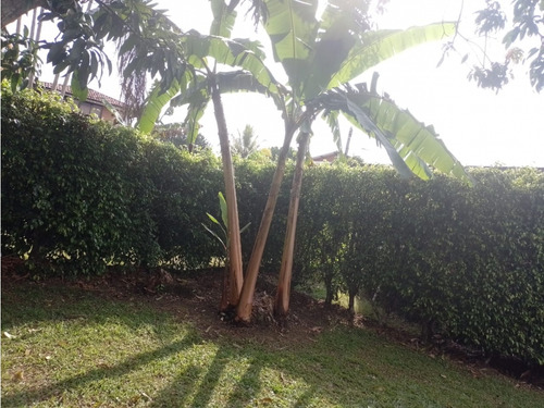 Venta-compro Casa Campestre Santagueda, Manizales-barata