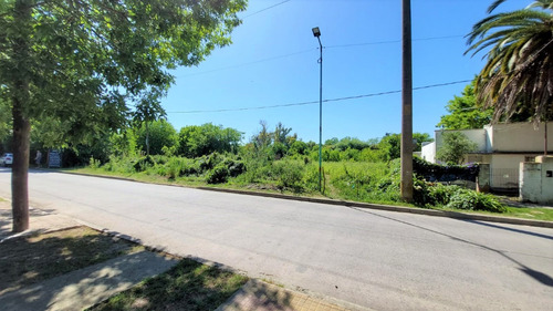 Ruta 11 Y 600 ( 41 ) - Alquiler O Venta - 3079 M2