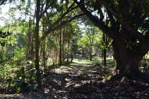 Imagem 14 de 24 de Chácara Com 2 Dormitórios À Venda, 8882 M² Por R$ 450.000,00 - Taboão - Mogi Das Cruzes/sp - Ch0088