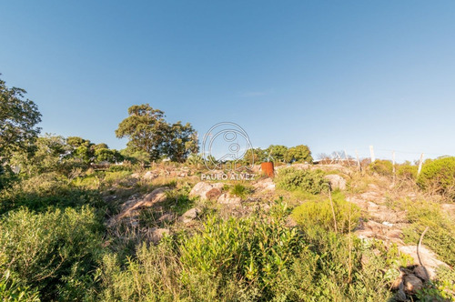 Imagen 11 de 14 de Terrenos Venta Piriápolis
