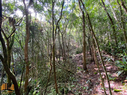 Chácara À Venda 2.749,43m2 Estrada Da Barrinha - São Lourenço/sp - Ch07782 - 69485090