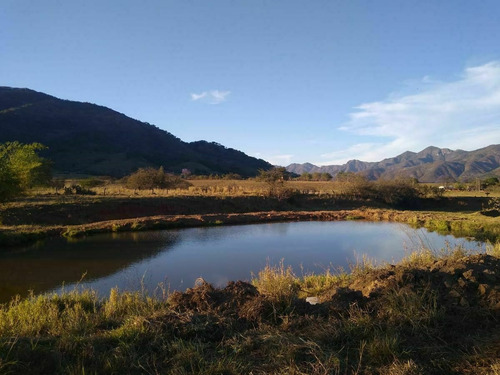Imagen 15 de 23 de Rancho Las Buganvilias! Dream Opportunity!