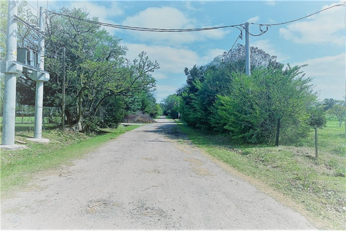 Imagen 15 de 15 de Hectareas Venta En Villa Elisa, Ideal Ley Habitat