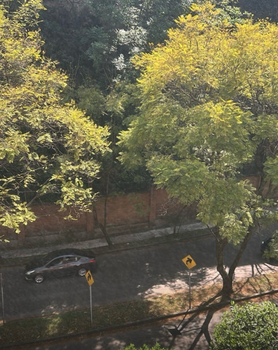 Casa En Venta En Bosque De Sabino