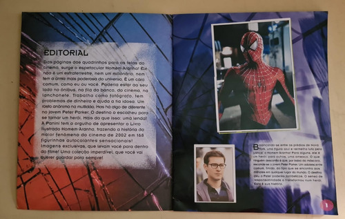 Homem Aranha 1, Editora Panini 2002 Álbum Completo Colado (Usado)