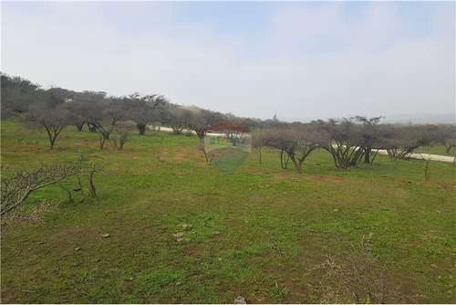 Sector Los Laureles - Terreno En Limache 5000 Mt