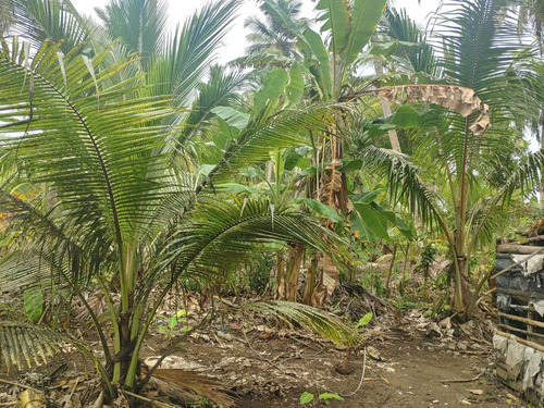 Se Vende En Nagua