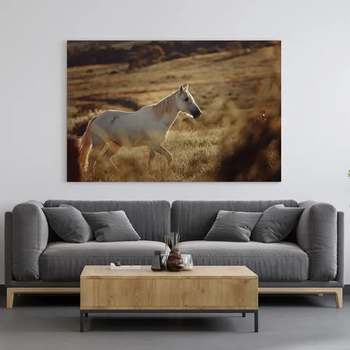 comprar Cuadro Decorativo Caballos Canvas 50x33 Cm