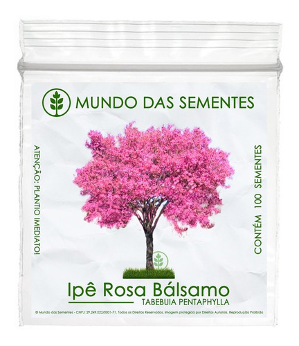 100 Sementes Ipê Rosa Tabebuia Pentaphylla Árvore Flor