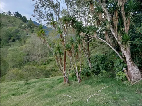 Vendo Finca Reventones Anolaima