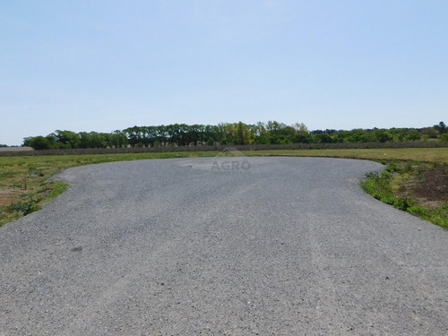 Imagen 11 de 27 de Lote - Venta - Praderas De Cardales - Alto Los Cardales - Zona Norte