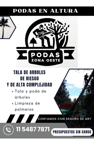 Poda Tala Árboles Palmeras De Riesgo Y Altura. Zona Oeste.