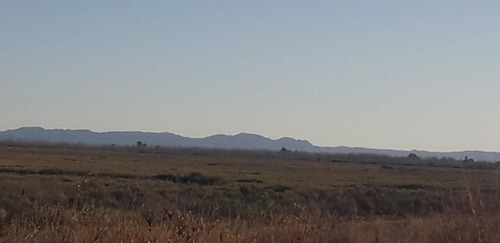 Vendo Importante Finca San Rafael Mendoza