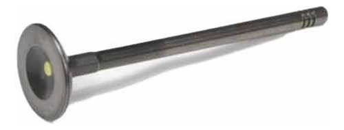Válvula Escapamento Gm 24585422