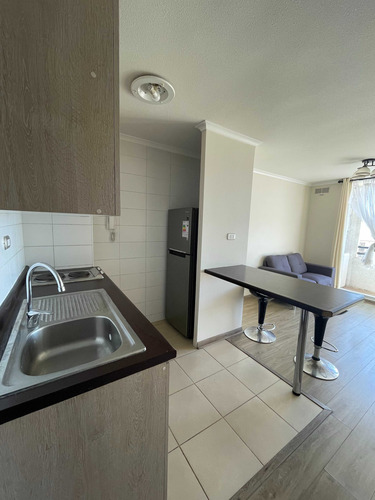 Hermoso Departamento En Alberto Arenas (13736)