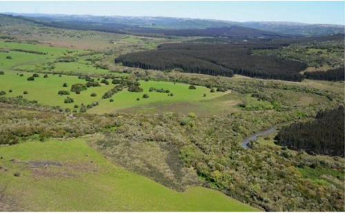 Imagen 8 de 13 de Terreno Campo En Venta Ubicado En El Tesoro, Punta Del Este