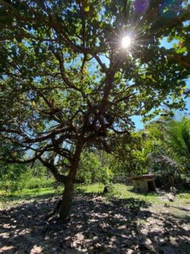 Imagem 21 de 22 de Chácara Com Árvores Frutíferas E Com 3023 M² De Área Total, No Bairro São Fernando, Em Itanhaém Ref: 8959/ac