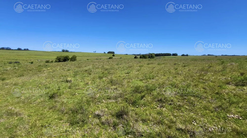 Venta Chacra Jose Ignacio Con Costa Arroyo Anastasio