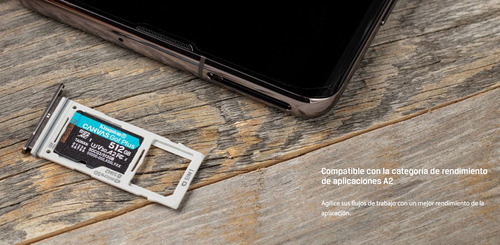 Memoria Kingston Micro Sdxc Canvas Go Plus 512gb Uhs-i U3 V3