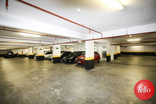 Comercial/industrial - Ref: 213392