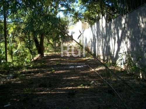 Terreno Em Teresópolis - Vi1060