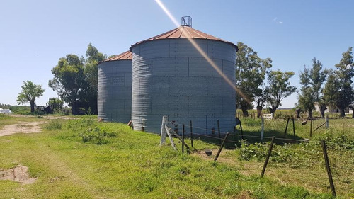 Imagen 6 de 30 de Campo - Navarro
