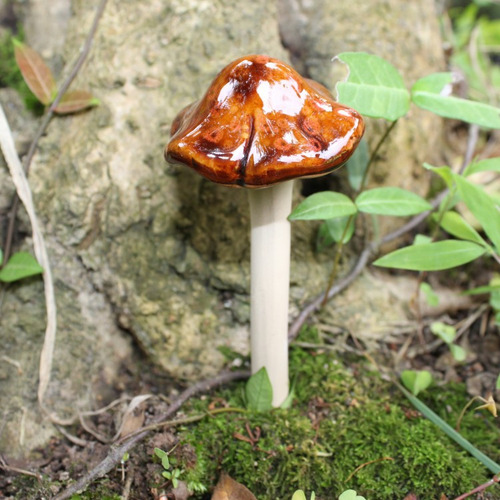 Maceta Amarilla Suculenta Decoración Cerámica Artesanal