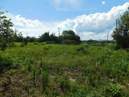 Imagem 4 de 7 de 3(três) Lote Na Avenida Padre Anchieta Com 1.243,40m²