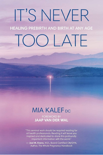 Libro: Itøs Never Too Late: Healing Prebirth And Birth At