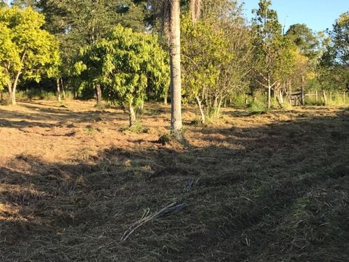 Chácara 16.000 M² - Morungava - Gravataí - Rs - 2103 - 33861354