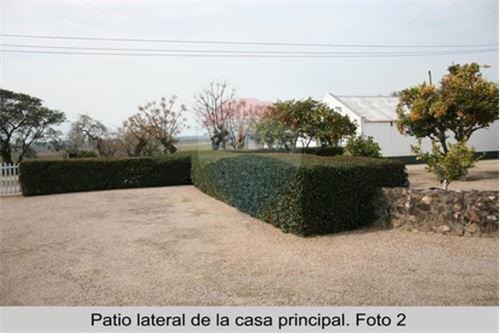 Campo Agrícola Ganadero Lechero 1.434 Has