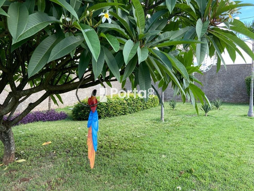Imagem 9 de 15 de Chacara - Jardim Dos Coqueiros - Ref: 12971 - V-ch0079