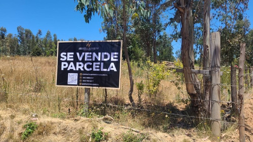 Venta Parcelas En Copiulemu Camino A Hualqui