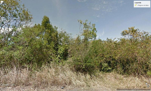Se Vende Rancho 16 Has Carretera Naranjos-tamiahua Veracruz