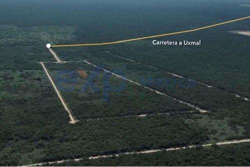 Grandes Extensiones De Tierra Pensadas Para Construcción