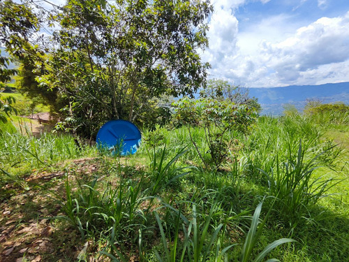 Lote Con Caballerizas En Copacabana Vereda El Zarzal