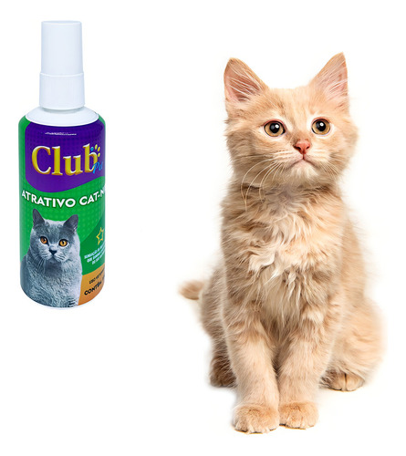 Catnip Para Gato Spray Erva Para Gato 100ml Club Pet