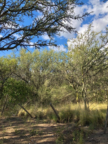 Imagen 9 de 14 de Lote 1840 M2 - Posesion / Quebrada De Los Pozos, Villa De Las Rosas - Traslasierra