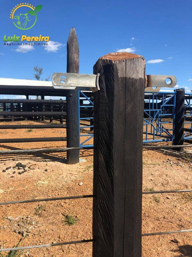 Imagem 12 de 13 de Fazenda À Venda Em Santana Do Araguaia - Pa - 3.000,8 Hec (dupla Aptidão) - 2041