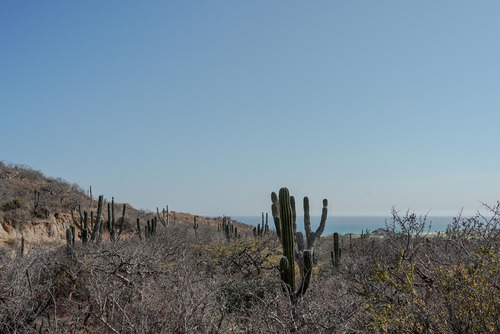 4-4a P Colinas, La Laguna/quivira